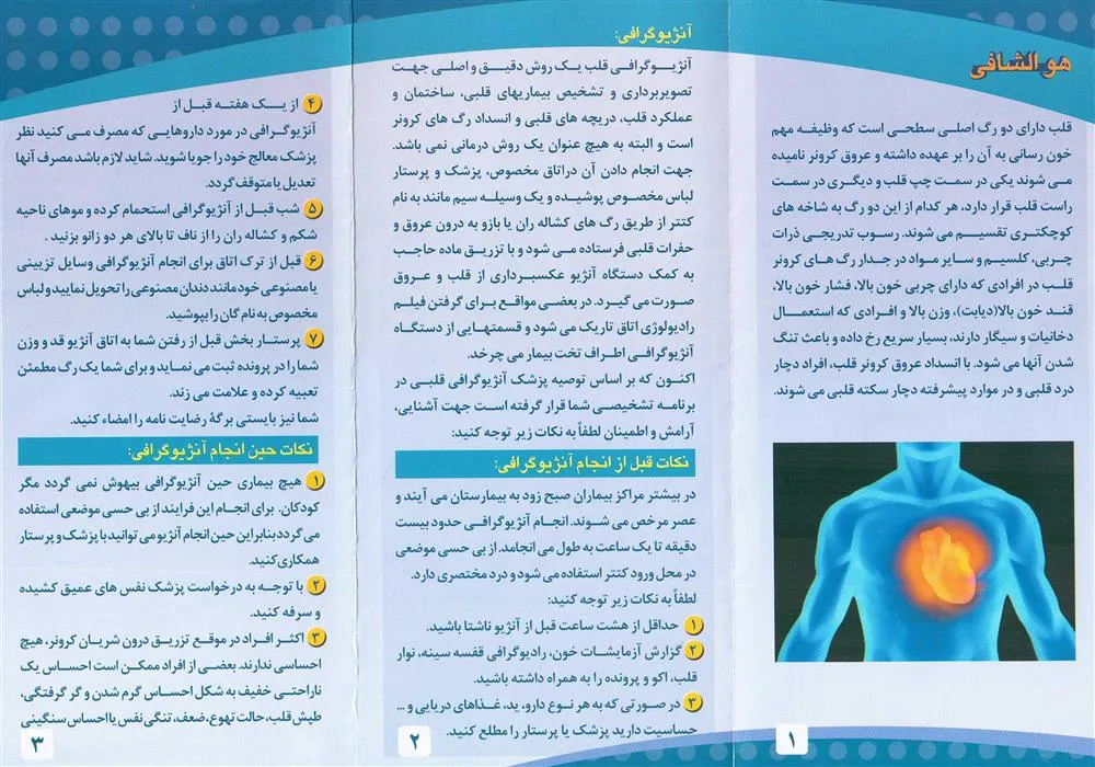 آنژیوگرافی